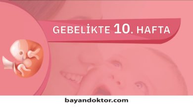 10. Hafta Gebelik – Hafta Hafta Hamilelik