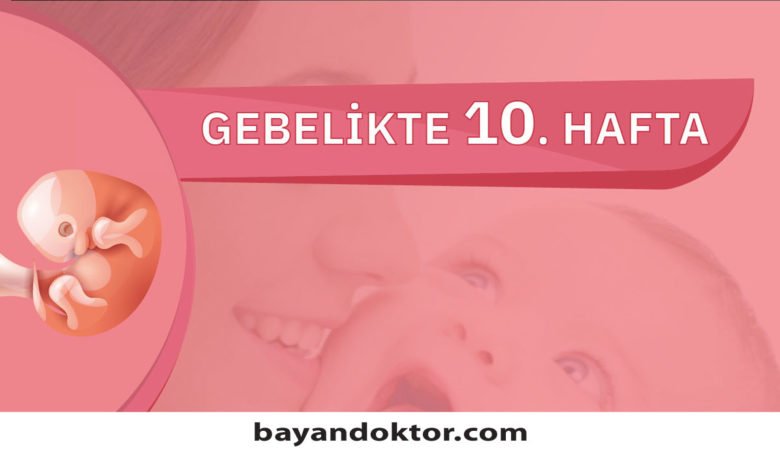 10. Hafta Gebelik – Hafta Hafta Hamilelik