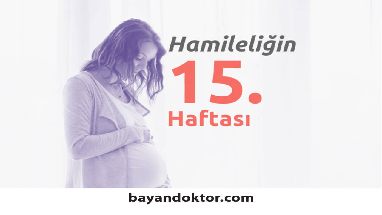 15. Hafta Gebelik – Hafta Hafta Hamilelik