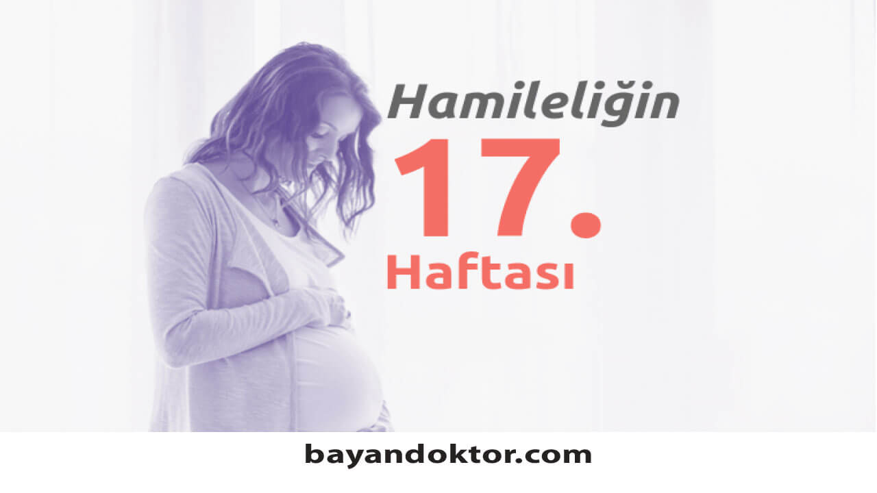 17. Hafta Gebelik – Hafta Hafta Hamilelik