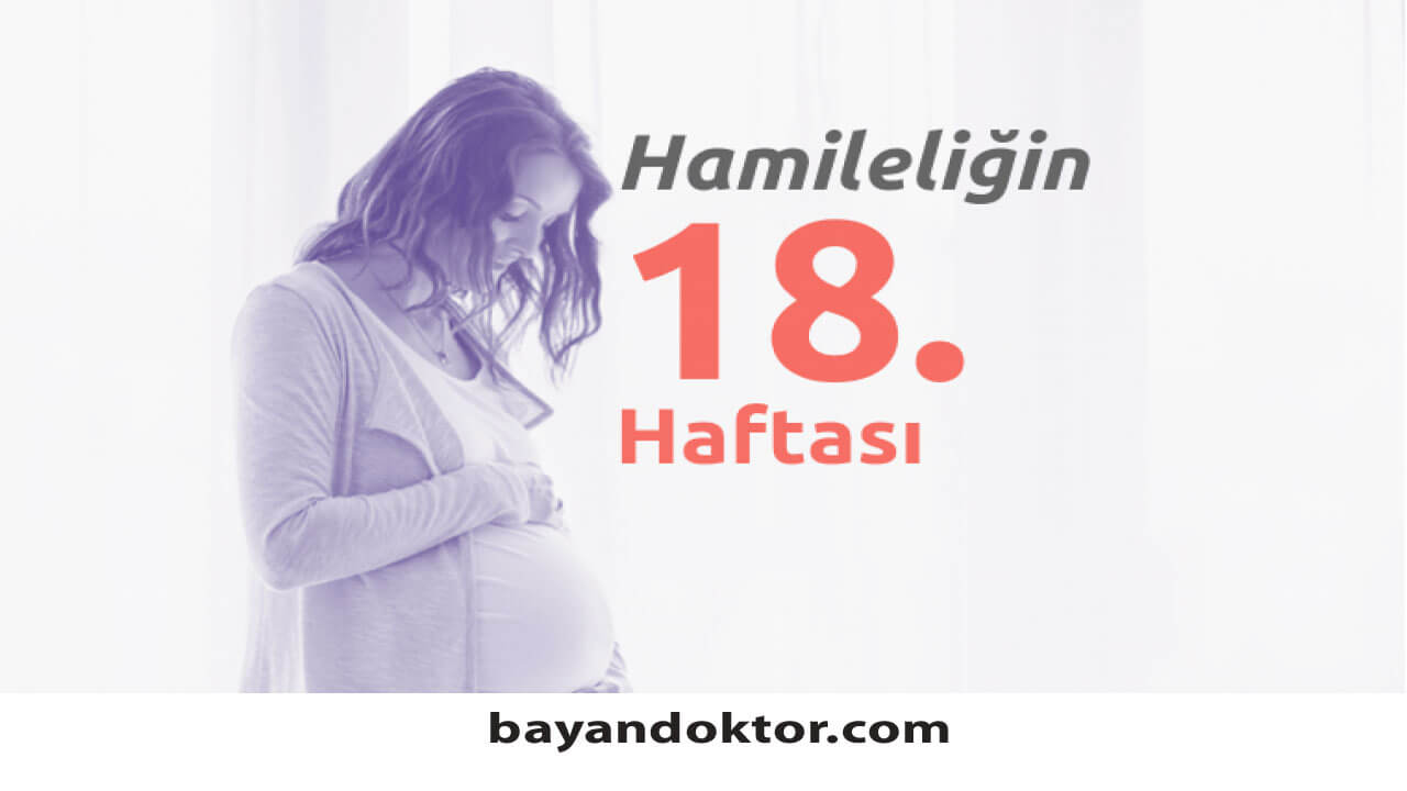 18. Hafta Gebelik – Hafta Hafta Hamilelik