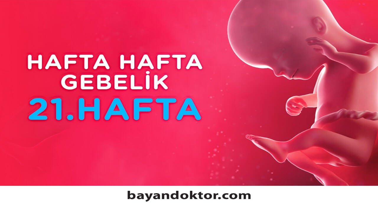 21. Hafta Gebelik – Hafta Hafta Hamilelik