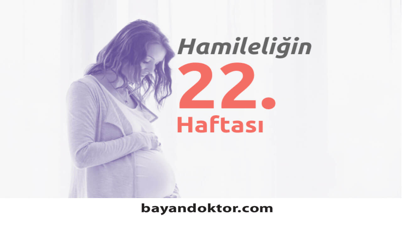 22. Hafta Gebelik – Hafta Hafta Hamilelik