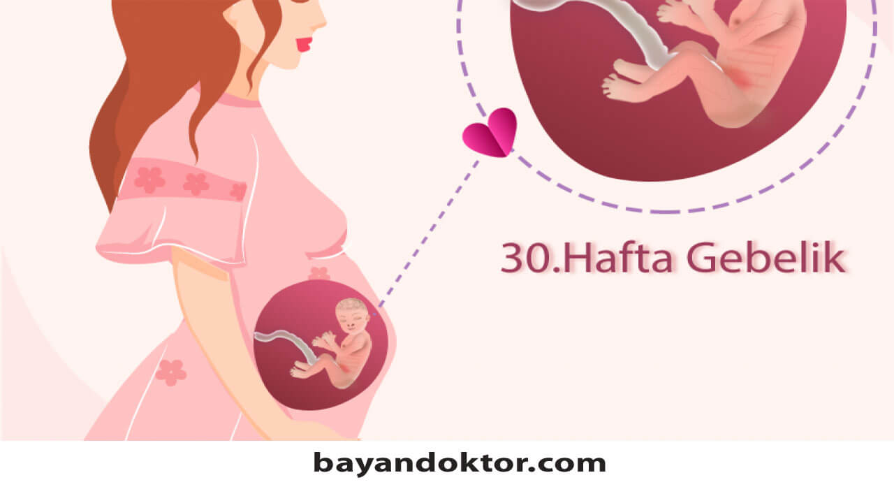 30. Hafta Gebelik – Hafta Hafta Hamilelik