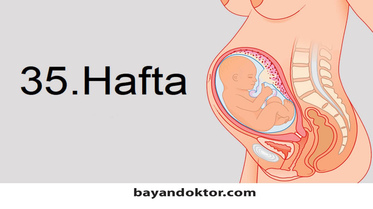 35. Hafta Gebelik – Hafta Hafta Hamilelik