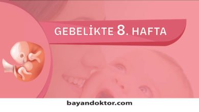 8. Hafta Gebelik – Hafta Hafta Hamilelik