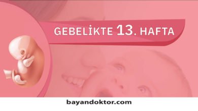 13. Hafta Gebelik – Hafta Hafta Hamilelik