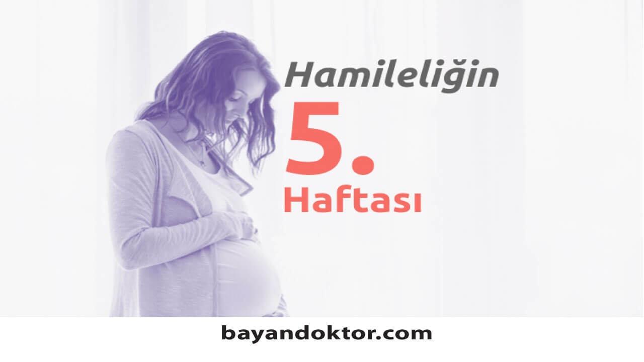 5. Hafta Gebelik – Hafta Hafta Hamilelik