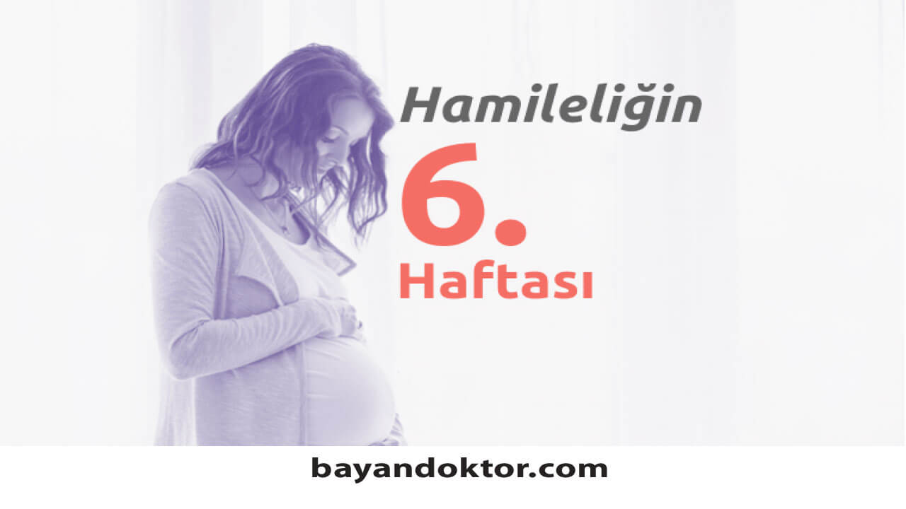 6. Hafta Gebelik – Hafta Hafta Hamilelik