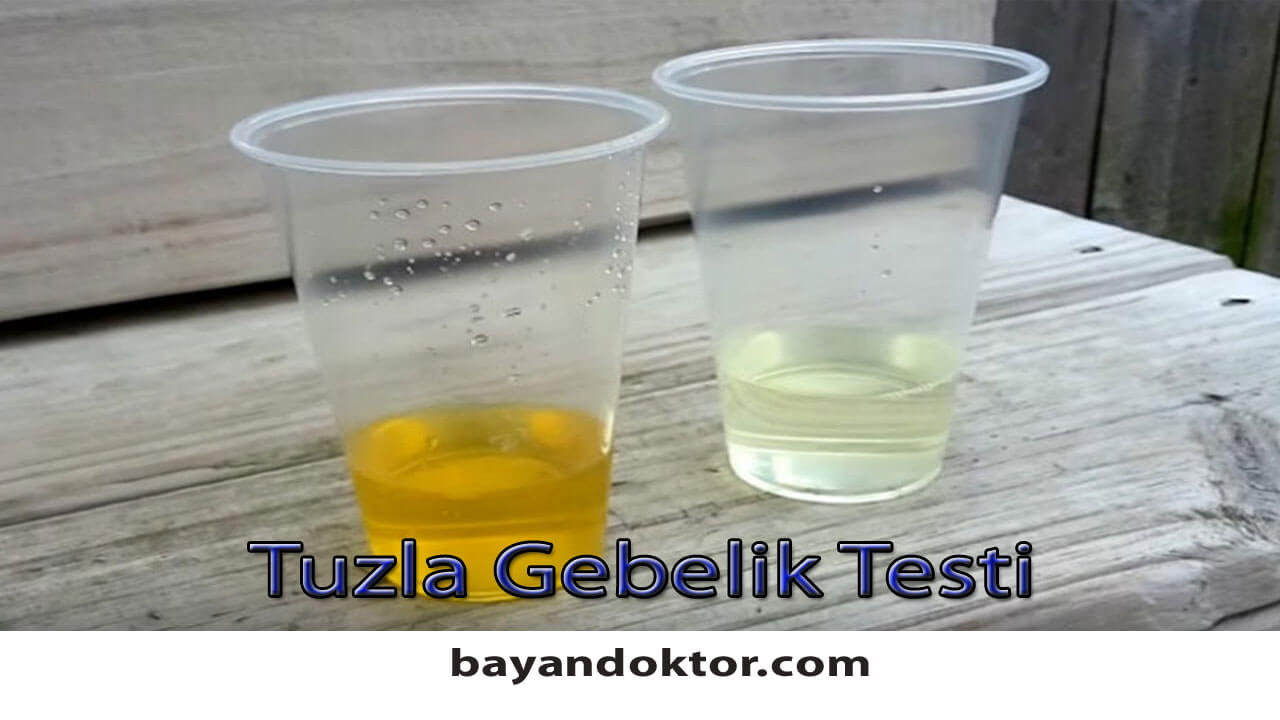 Nabızdan Hamilelik Testi Nasıl Yapılır?