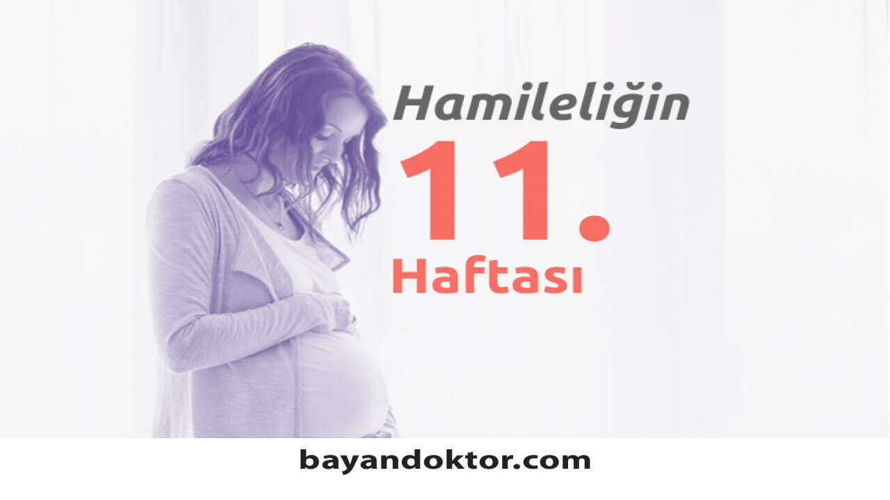 11. Hafta Gebelik – Hafta Hafta Hamilelik