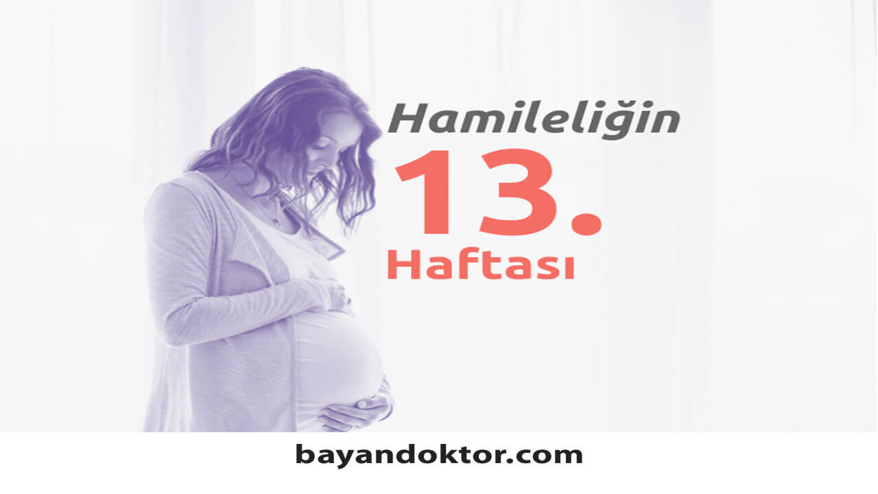 13. Hafta Gebelik – Hafta Hafta Hamilelik