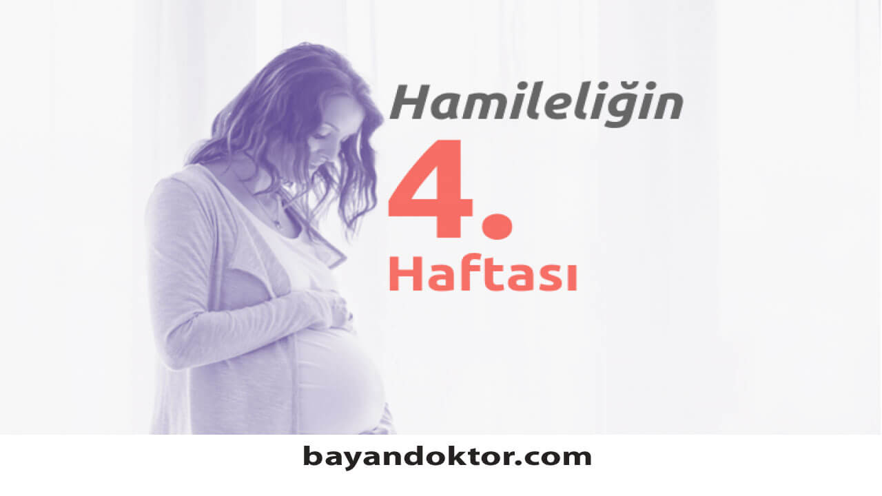 4. Hafta Gebelik – Hafta Hafta Hamilelik