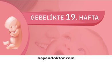 19. Hafta Gebelik – Hafta Hafta Hamilelik