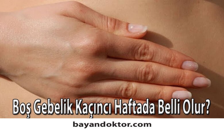 Boş Gebelik Kaçıncı Haftada Belli Olur?