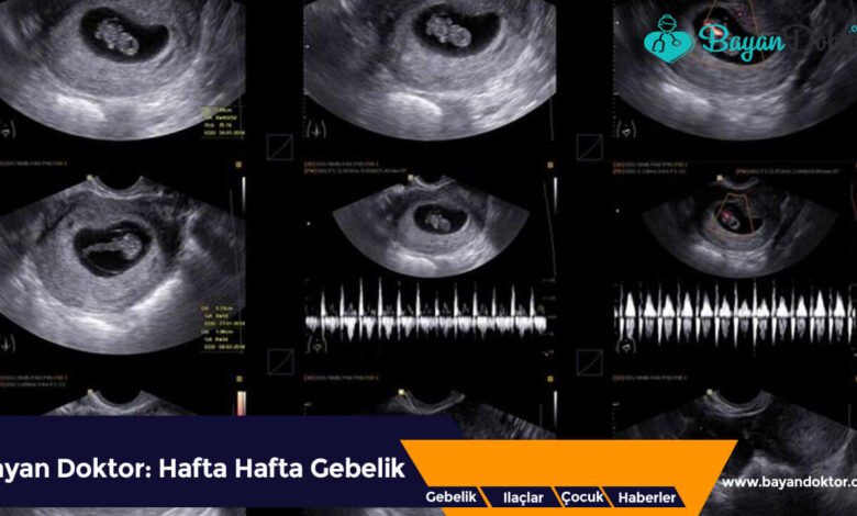 Gebelik Kesesi Kaç mm iken Kalp Atışı Duyulur?