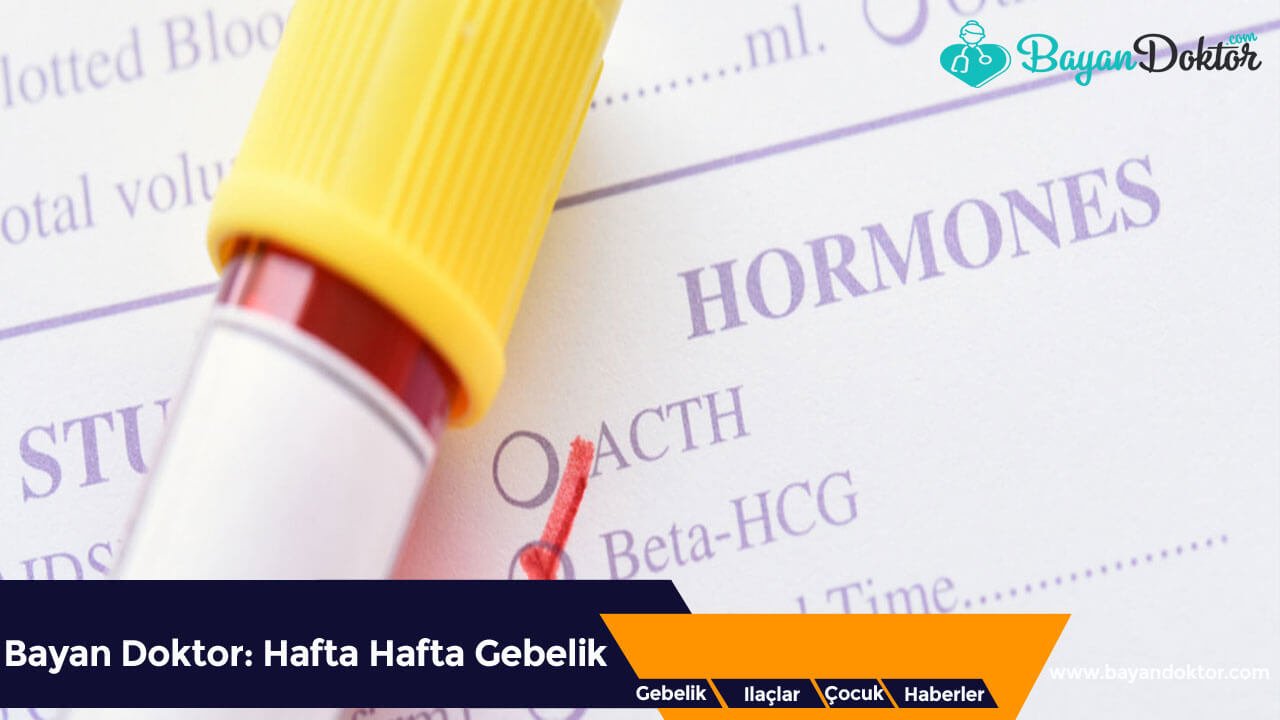 Beta hCG Testi Nedir? Fiyatları Nelerdir?