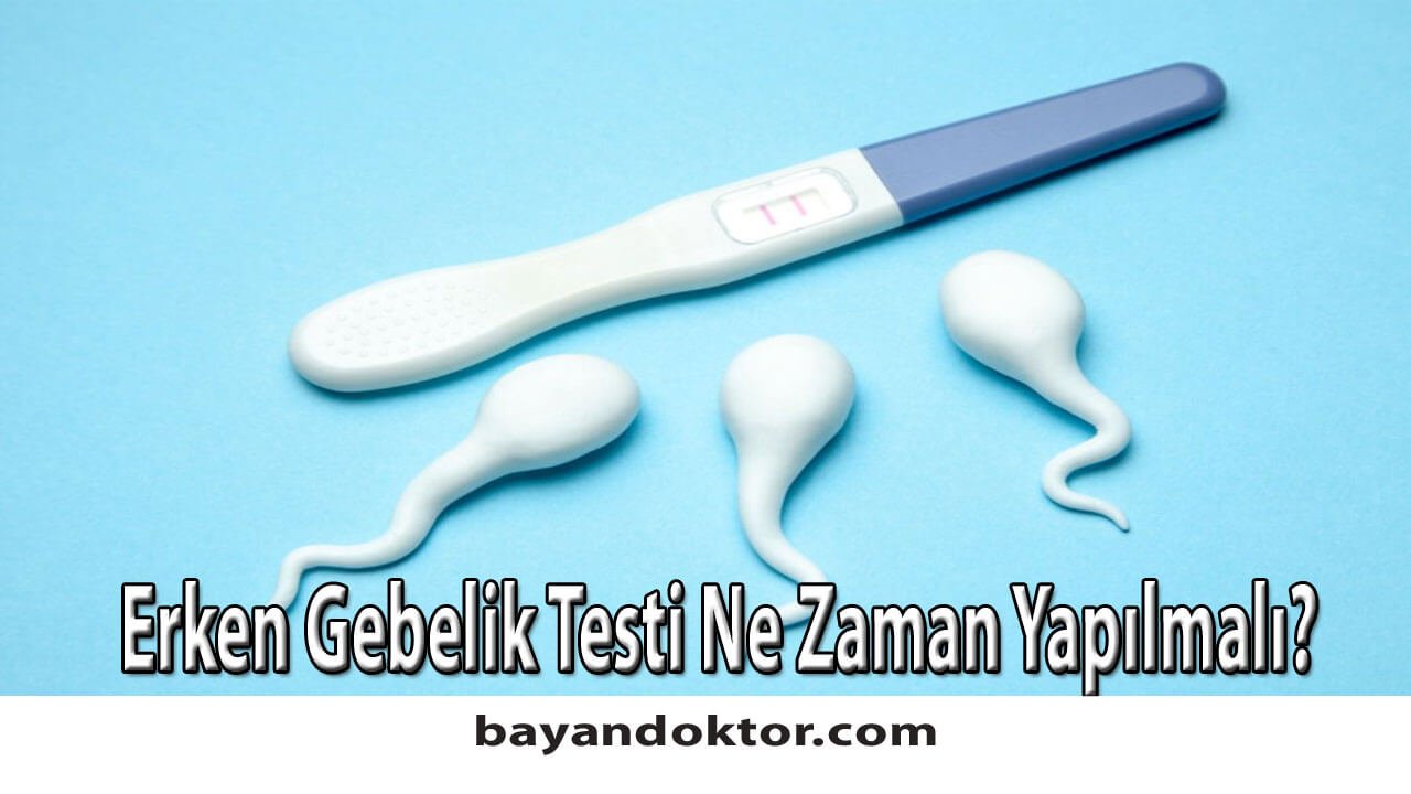 Erken Gebelik Testi Ne Zaman Yapılmalı?