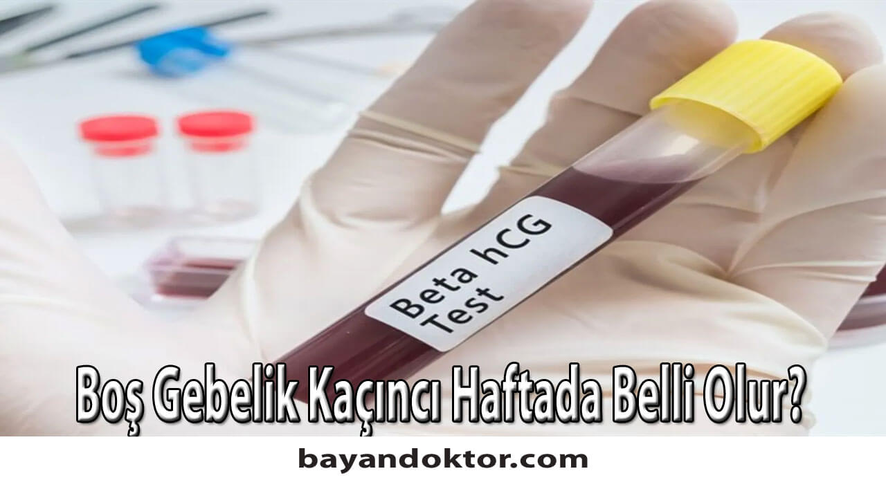 Boş Gebelik Kaçıncı Haftada Belli Olur?