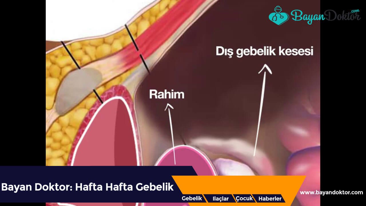 Dış Gebelik Belirtileri En Erken Ne Zaman Başlar?