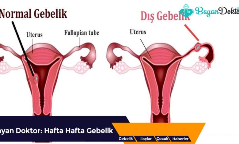 Dış Gebelik Belirtileri En Erken Ne Zaman Başlar?