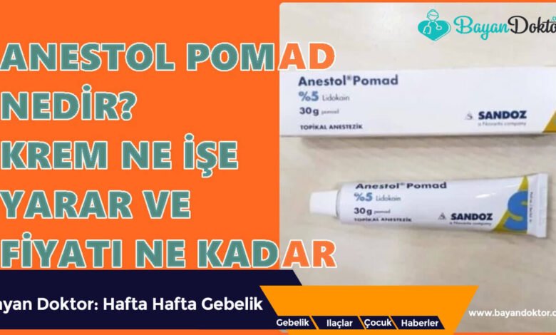 Anestol %5 30 g Pomad Nedir? Ne İşe Yarar?