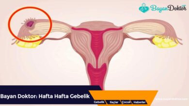 Ektopik Gebelik Nedir?