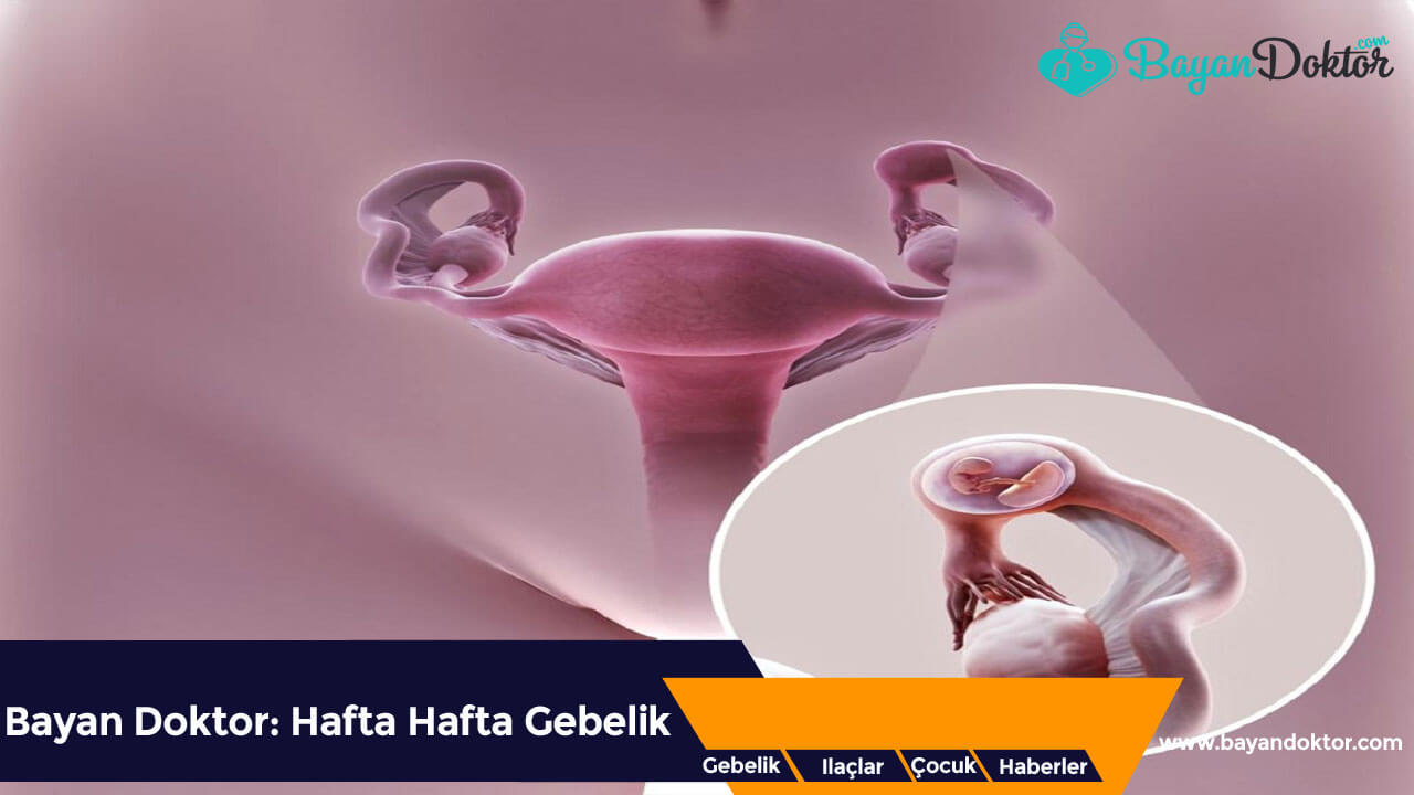 Ektopik Gebelik Nedir?