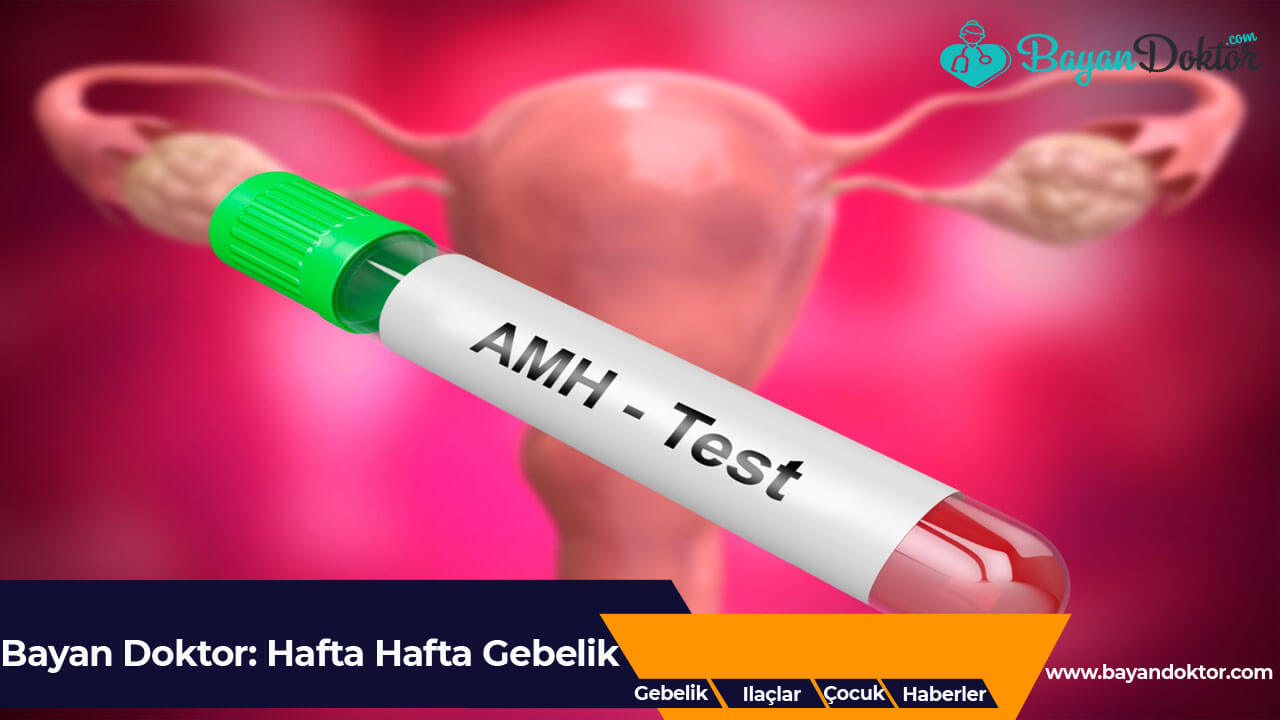 AMH Testi