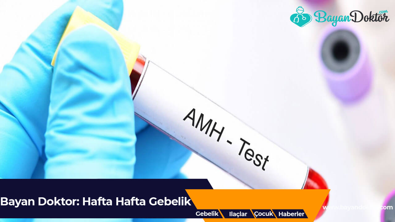 AMH Testi