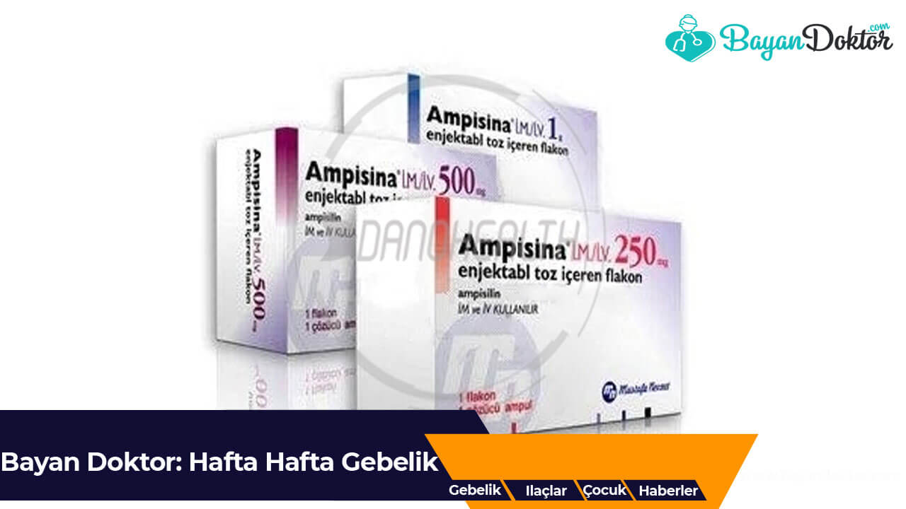 Ampisina Nedir