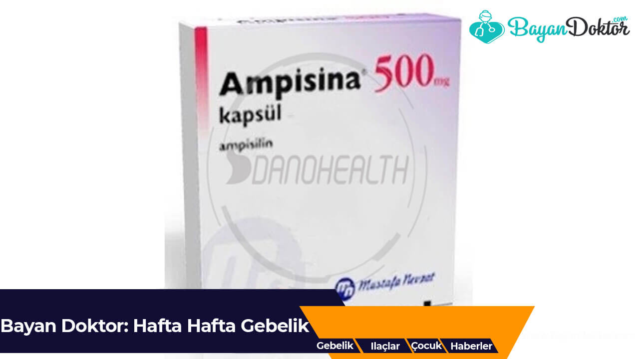 Ampisina Nedir