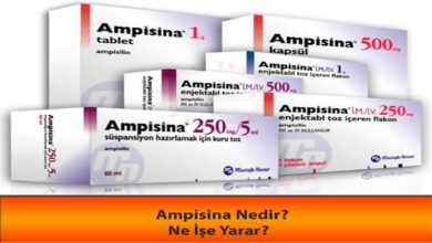 Ampisina Nedir