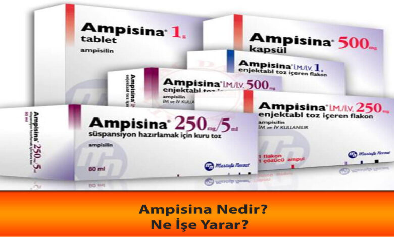 Ampisina Nedir