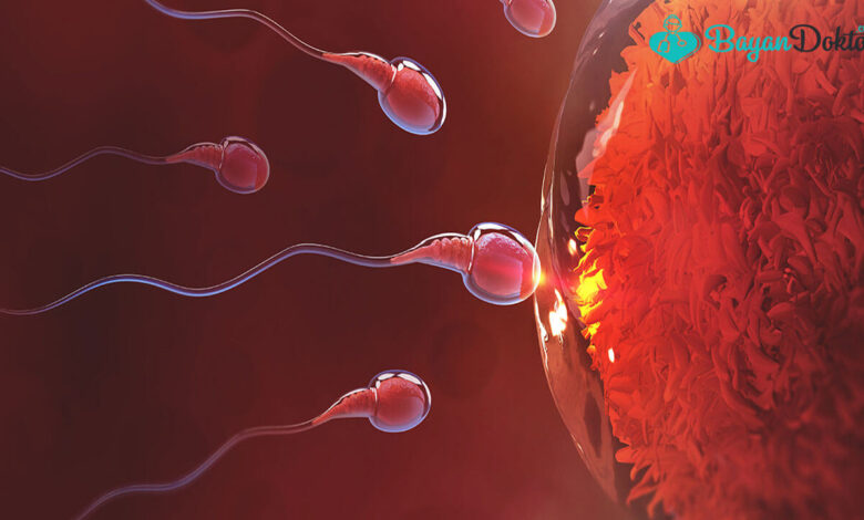 Embriyo Tutunma Belirtileri Ne Zaman Başlar