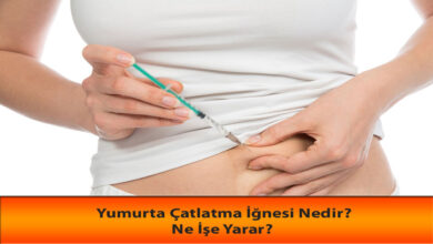 Yumurta Çatlatma İğnesi Nedir