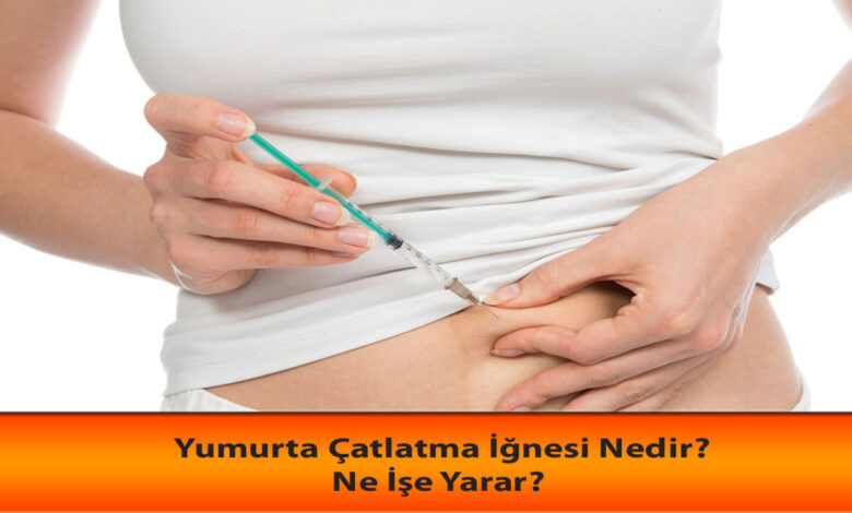 Yumurta Çatlatma İğnesi Nedir