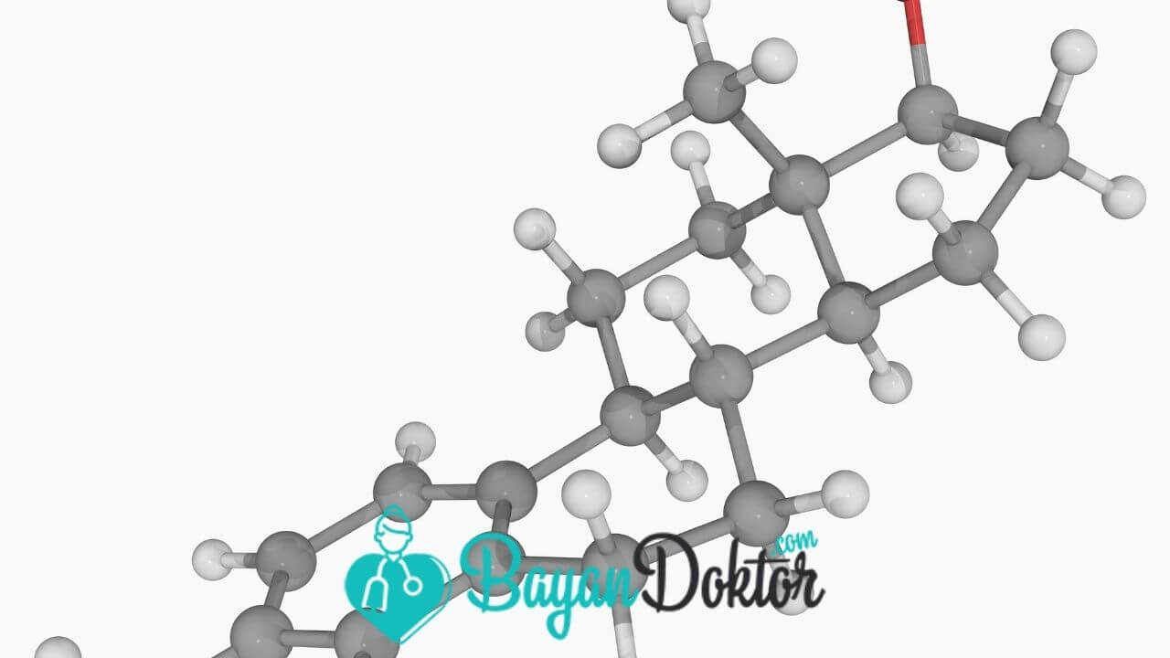 Estradiol Hormonu Nasıl Üretilir