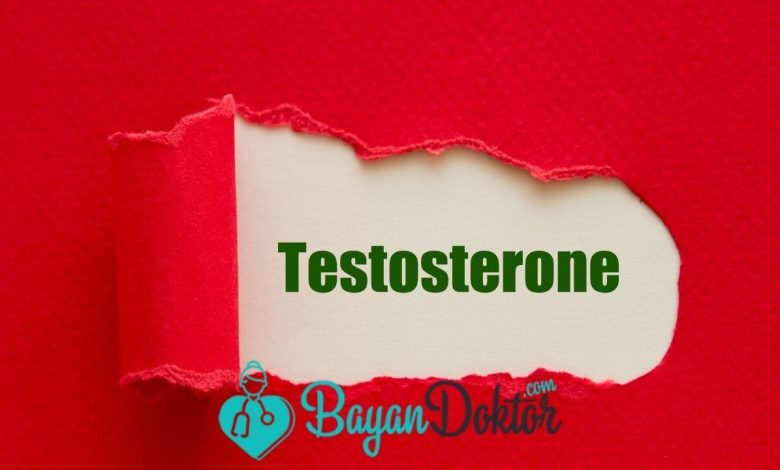 Testosteron Hormonu Nedir