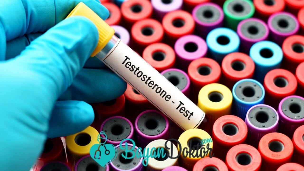 Testosteron Hormonu Nedir Testosteron Ne İşe Yarar