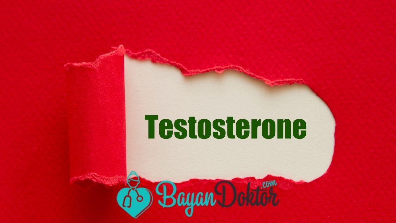 Testosteron Hormonu Nedir