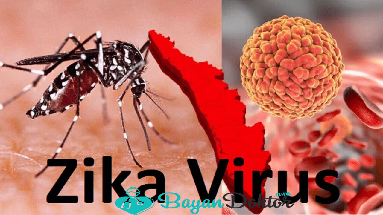 Zika virusu