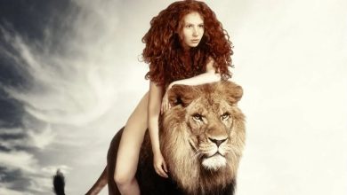 aslan 3